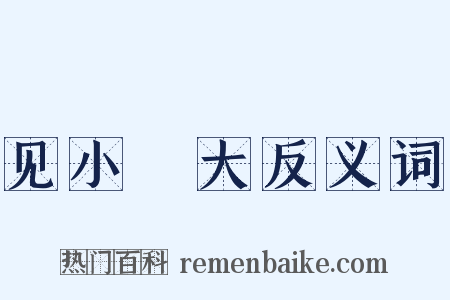 见小闇大反义词是什么意思的图片